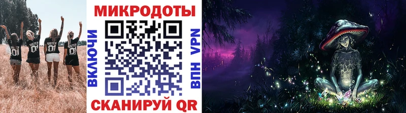 Купить закладки  Элиста  Галлюциногенные грибы MAGIC MUSHROOMS 